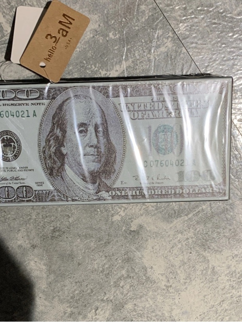Forever 21 Clear Money Clip Sleeve with Green Bill Print